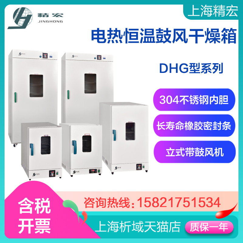 数显立式电热鼓风干燥箱上海精宏