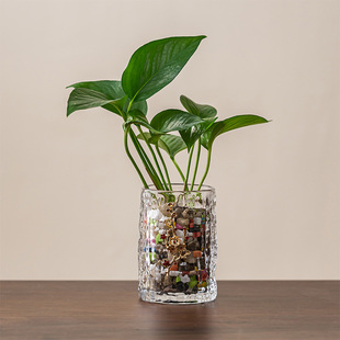 创意水培器皿花瓶摆件透明玻璃缸花盆插花绿萝植物长方形装饰桌面