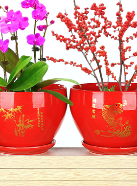 中国风大红色陶瓷特价花盆有孔带托盘喜庆花盆纯红创意清仓花盆
