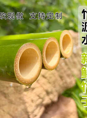 竹筒竹子新鲜可烤出水