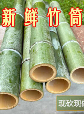 新鲜楠竹筒奶茶杯蒸饭筒笔筒竹材料现做竹筒竹竿造景摆件竹筒定制
