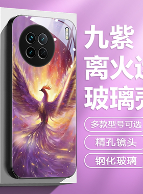 九紫离火运适用vivox300手机壳国风x60玻璃s19转运x80玄学200凤凰x27国潮y52s好运招财x30朱雀iqoo13个性neo9