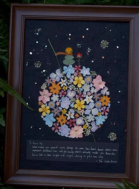 多巴胺星球干花压花相框小王子玫瑰装饰框创意生日礼物摆件手作