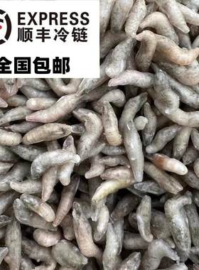 冷冻河虾麦穗龙虎魟狗头河豚鱼食