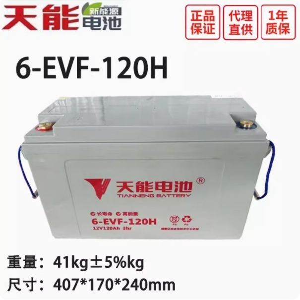 天能电池石墨烯12伏6-EVF-120H