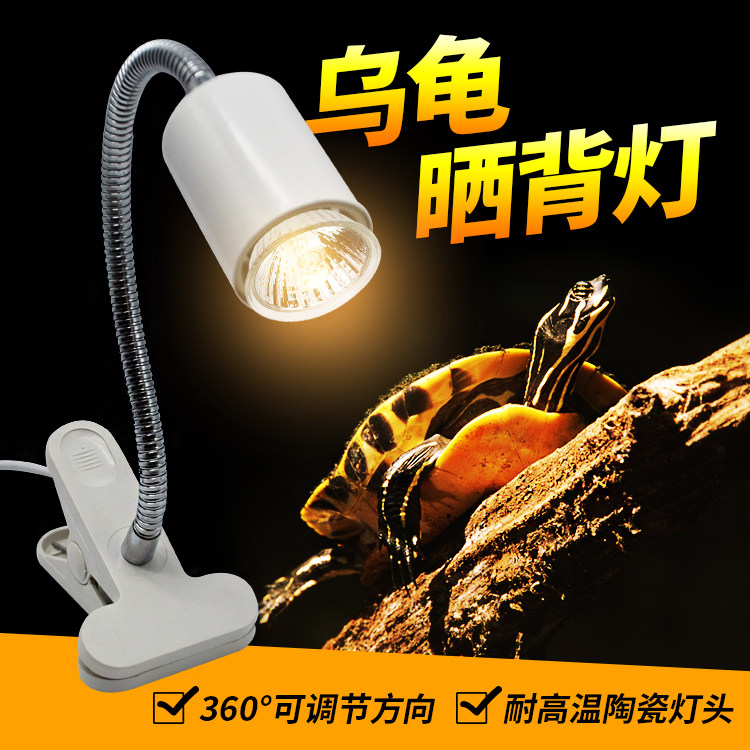 爬蟲箱加熱燈夾陶瓷燈烏龜刺猬蜥蜴UVAUVB曬背萬向帶開關E27燈夾在類目 寵物/寵物食品及用品, 爬蟲/鳴蟲及其用品, 爬蟲/鳴蟲用具中 - 來自Buy2taobao.com提供專業的淘寶代購服務