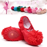 Туфли для детей и взрослых, спортивная обувь, балетки, мягкая подошва