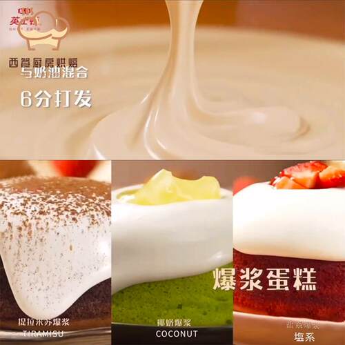维益巴伐利亚克林姆1kg*6 切达乳酪牛奶椰子味卡仕达酱夹心馅烘焙