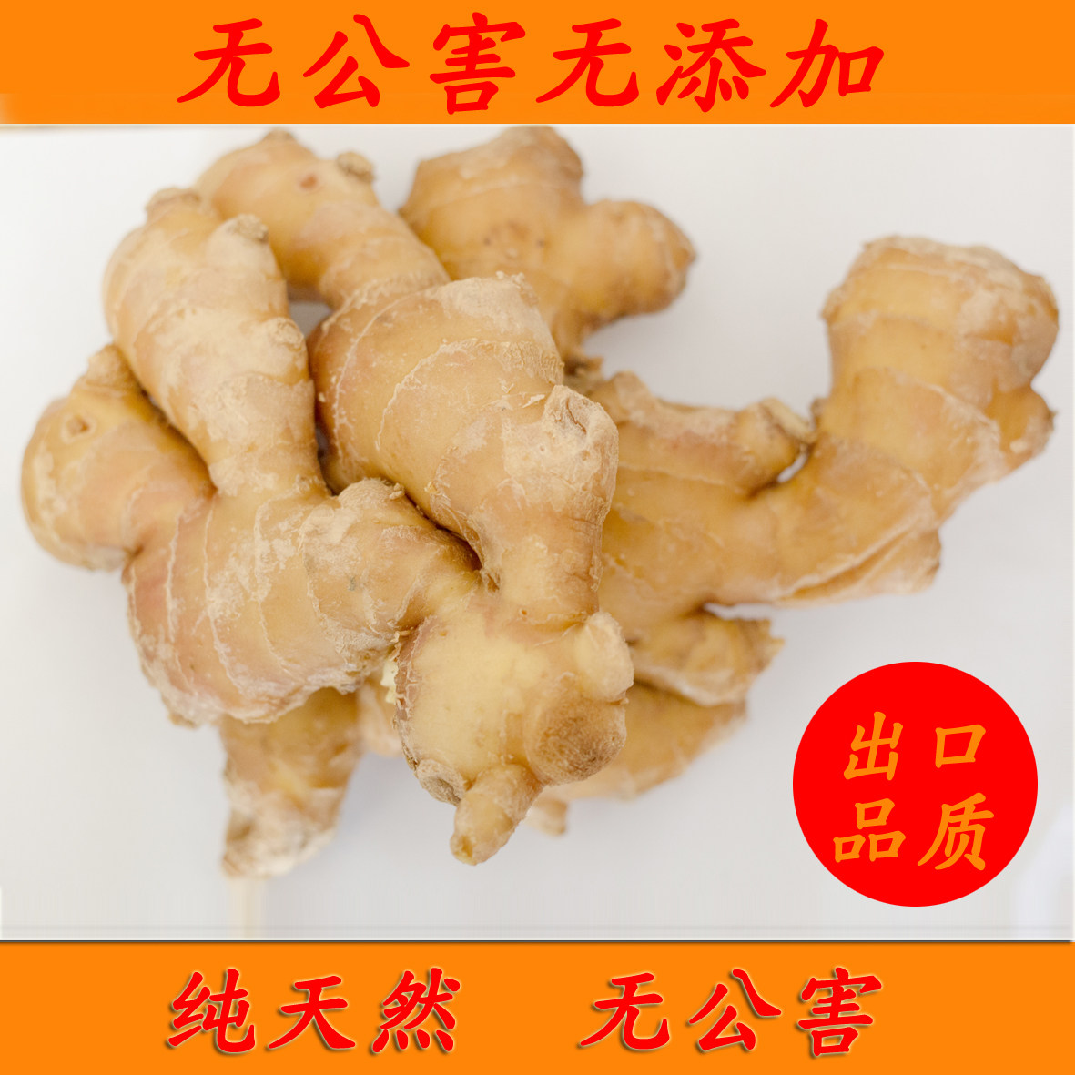 生姜山东特产优质大姜无公害无污染新鲜大块面姜5斤源头厂家直销