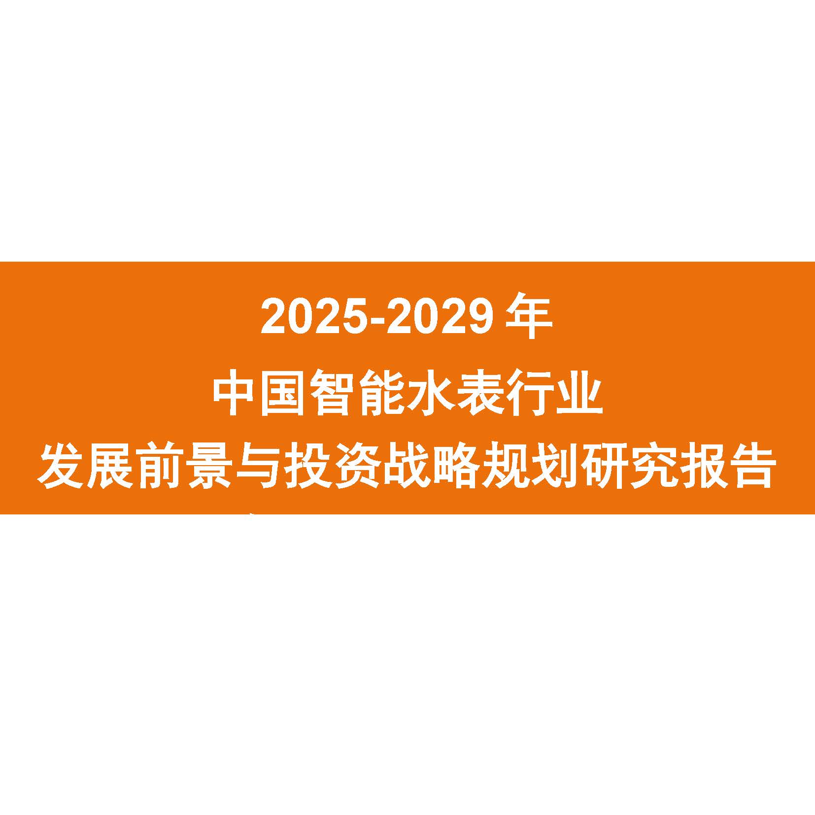 2025-2029年中国智能水表行业发展前景与投资战略规划研究报告