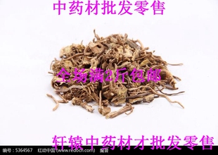 龙胆白薇 白微 500克 满两斤 中药材 包邮 白薇