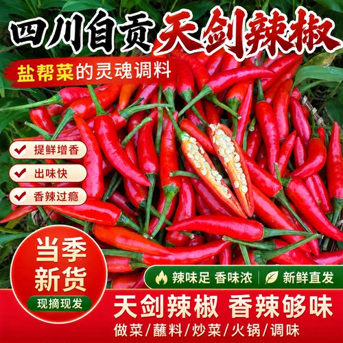 四川天剑超辣超香红小米椒新鲜朝天椒特辣指天椒自贡盐帮菜