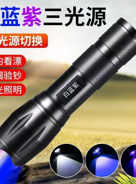 捕蝎专用灯强光款照明双用紫光检测验钞捉蝎子紫外线固化蓝光耐用