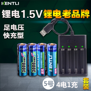 金特力KENTLI锂电池5号套装 可充1.5v闪光灯话筒门锁玩具手柄通用