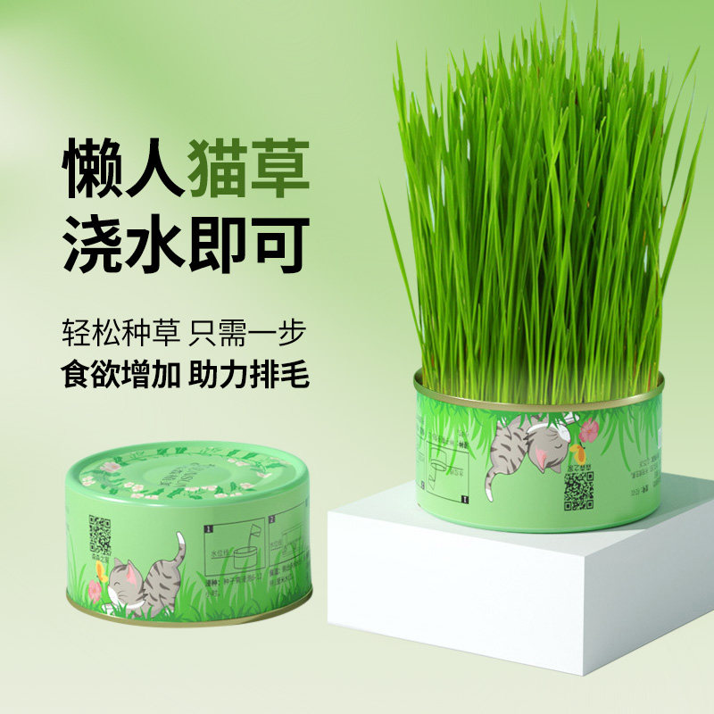 懒人猫草无土水培罐小麦种子盆栽