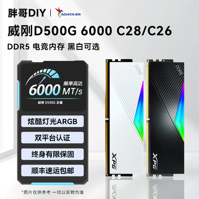 威刚DDR5500G龙耀EXPOXMP