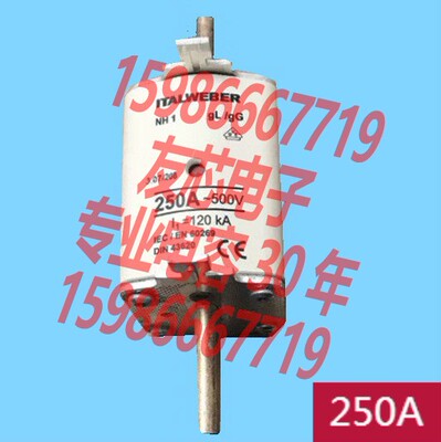 ITALWEBER NH1 250A 500V 快速熔断器  gL/gG IEC/EN60269