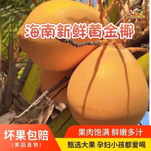 海南金椰子新鲜椰青孕妇水果