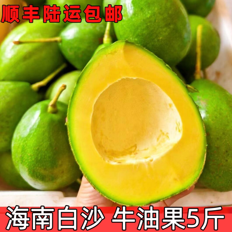 海南白沙牛油果5斤礼盒新鲜大果