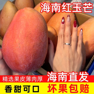海南红玉芒 新鲜当季大芒果 中果5斤装 皮薄核小清甜多汁坏果包赔