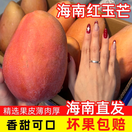 海南红玉芒 新鲜当季大芒果 中果5斤装 皮薄核小清甜多汁坏果包赔