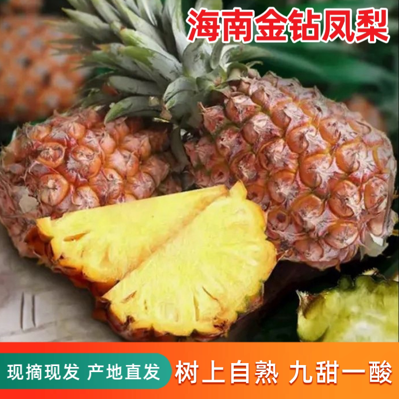 海南金钻凤梨17号手撕超甜树上熟