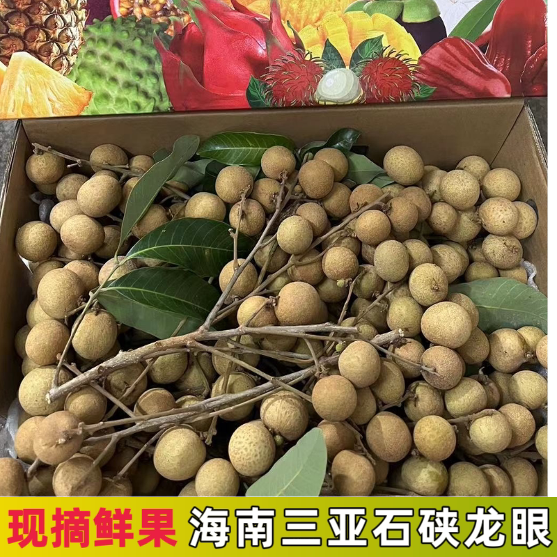 海南石硖龙眼5斤空运礼盒