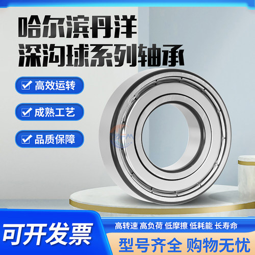 哈尔滨6203丹洋轴承6202