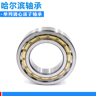 哈尔滨单列调心滚子轴承 20310 20311 20312 20313 20314 20315