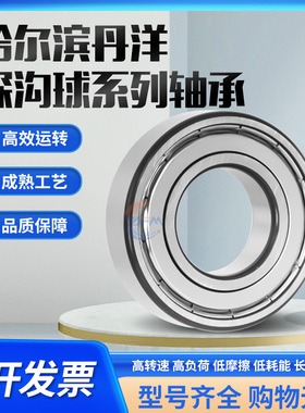 哈尔滨轴承6200 6201 6202 6203 6204 6205 6206 6207 6208RZ.ZZ