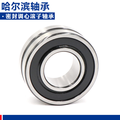 哈尔滨双面密封调心滚子轴承 BS2-23220 23222 23228 23240-2CS
