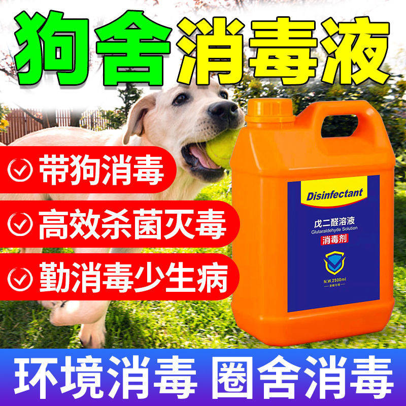 狗场消毒液养犬用狗舍犬舍狗用消毒液养殖场专用宠物狗消毒液水剂