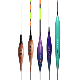 东区总部浮漂夜光电子标月影一体纳米制道大物立式发光钓鱼漂浮标