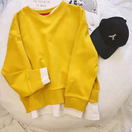 Однотонная толстовка с круглым воротником, демисезонная куртка, 2019, в корейском стиле, свободный крой