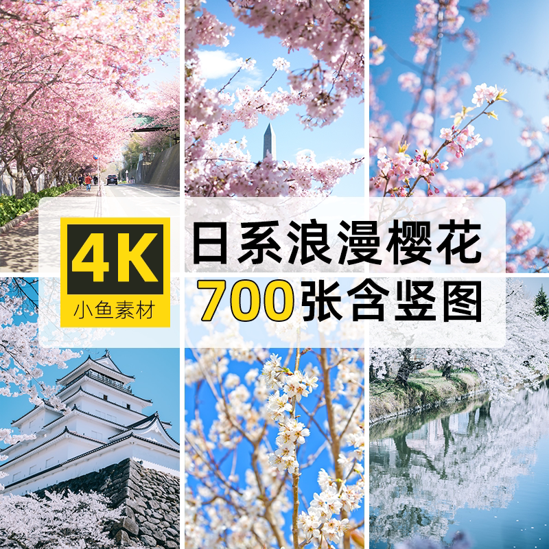 高清4K竖图片日系浪漫樱花树花朵自媒体抖音PS设计画手机壁纸素材