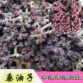 吴茱萸新鲜垂油子锤油子贵州农家特产牛瘪羊瘪血红香料500g 包邮