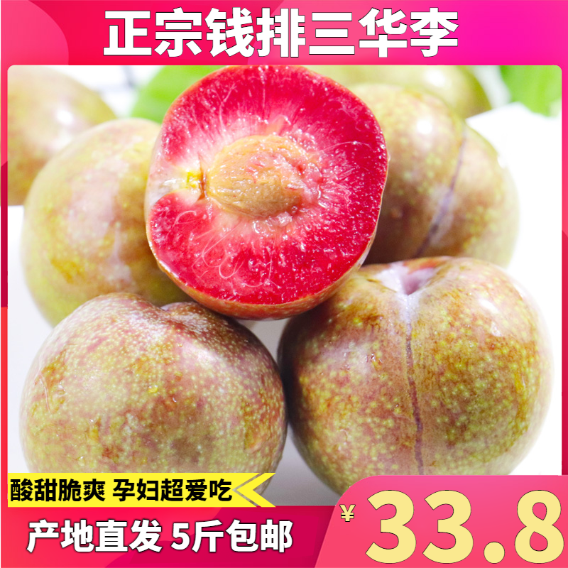 李憲強著