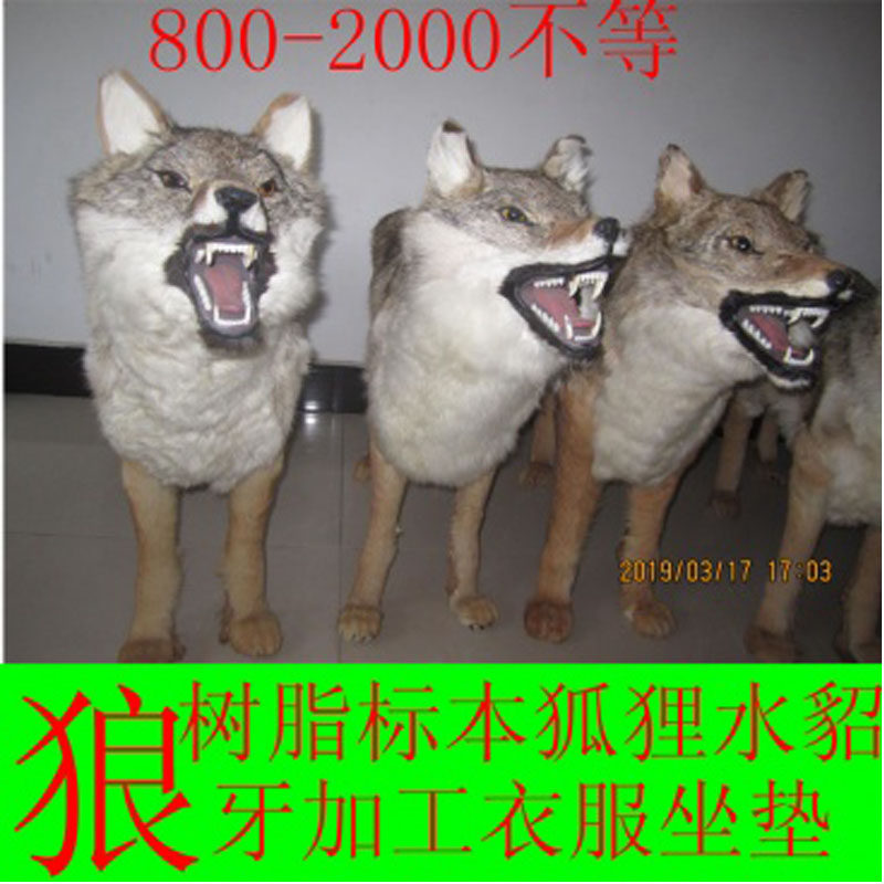 加工定做水貂皮貉皮狐狸马甲外套仿狼皮大衣帽子汽车坐垫褥子整张