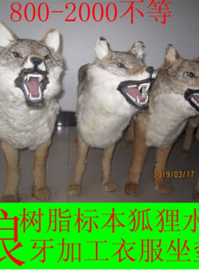水貂皮貉皮狐狸马甲外套仿狼皮