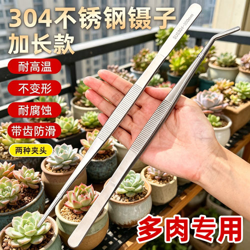 特厚304不锈钢镊子多肉专用