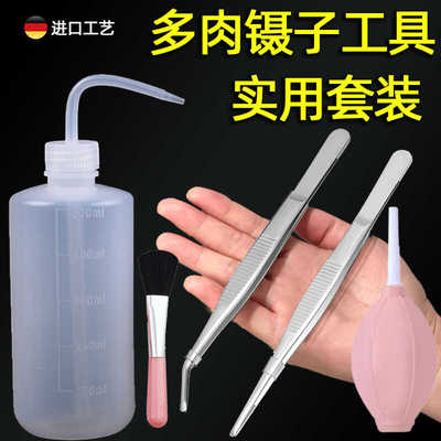 不锈钢镊子多肉工具套装滴水壶