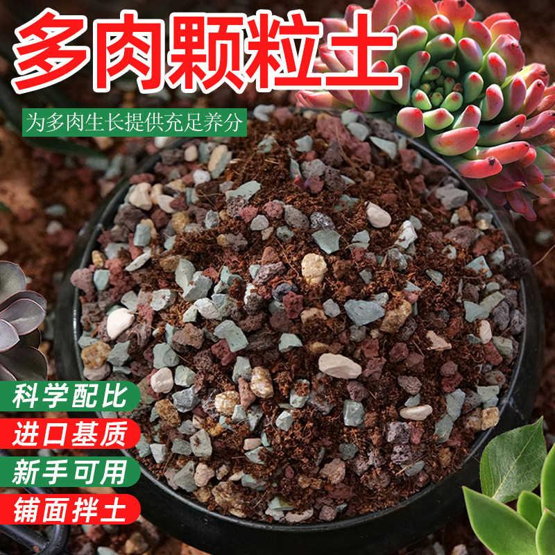 多肉专用营养颗粒土铺面石小苗土花土壤泥炭种植疏松透气进口家用