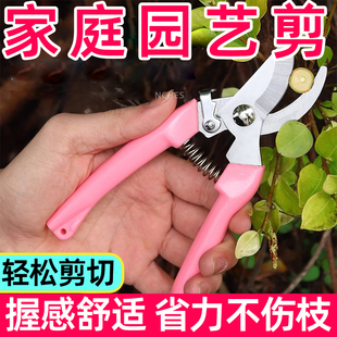 多肉园艺剪修根剪刀家庭花艺鲜花剪子花卉剪树枝种植工具摘果嫁接