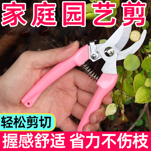 多肉园艺剪修根剪刀家庭花艺鲜花剪子花卉剪树枝种植工具摘果嫁接 - 封面