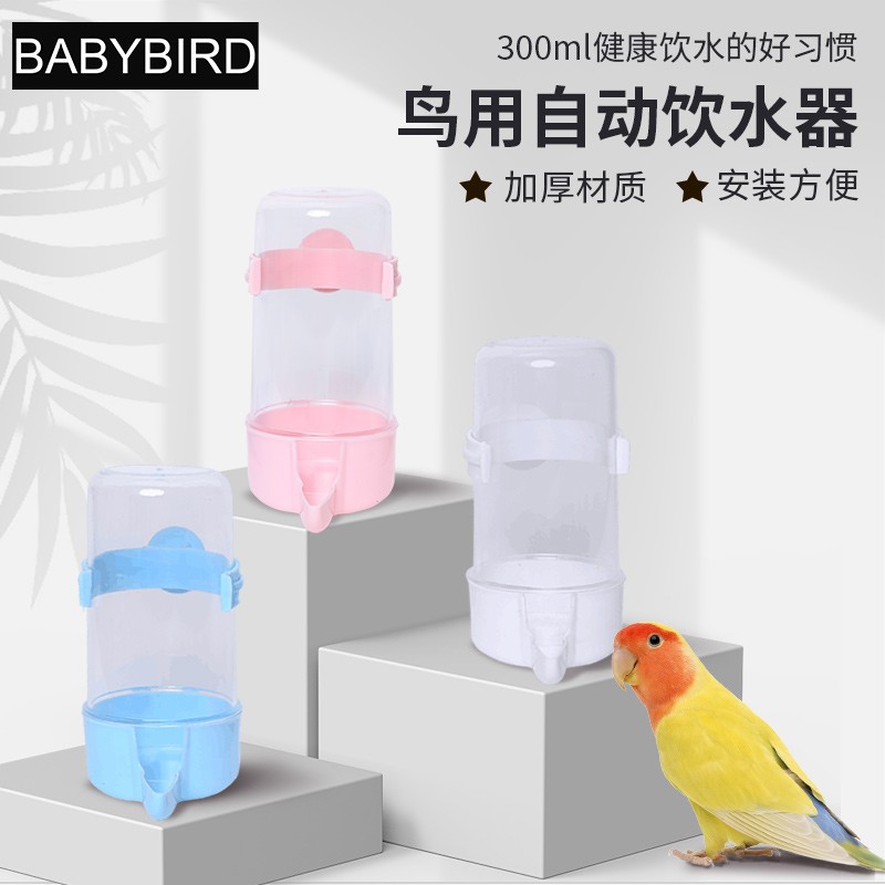 babybird饮水器自动喂食喂鸟器