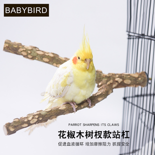 树杈花椒木鹩哥八哥画眉鹦鹉鸟站棍站杆磨爪棍杠棍栖杠