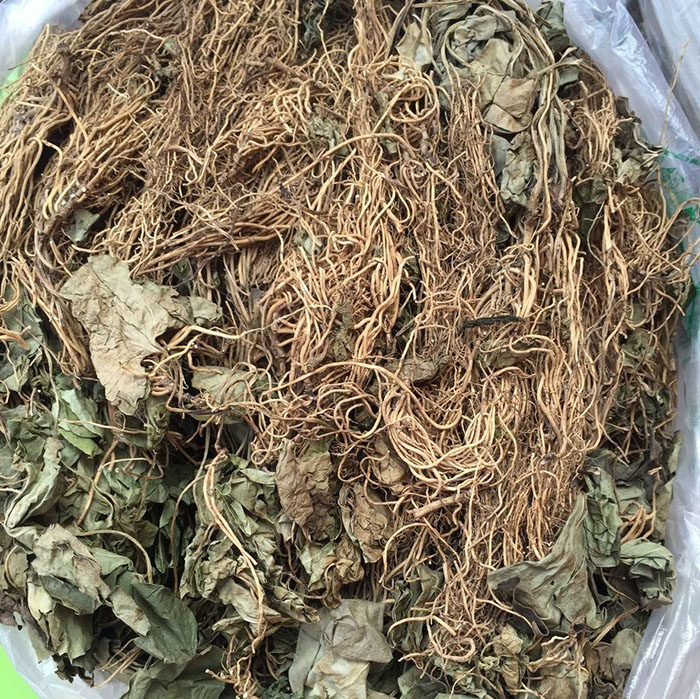 细辛 野生干细辛 水洗细辛全草 陕西安康岚皋特产250g 满一斤包邮