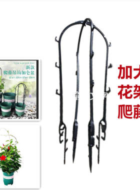 欧式爬藤花架阳台客厅加仑盆支架