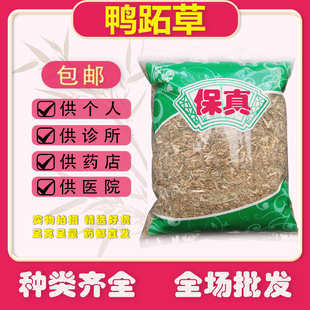 安国市中药材市场批发鸭跖草 鸭舌草鸭拓草1000克包邮