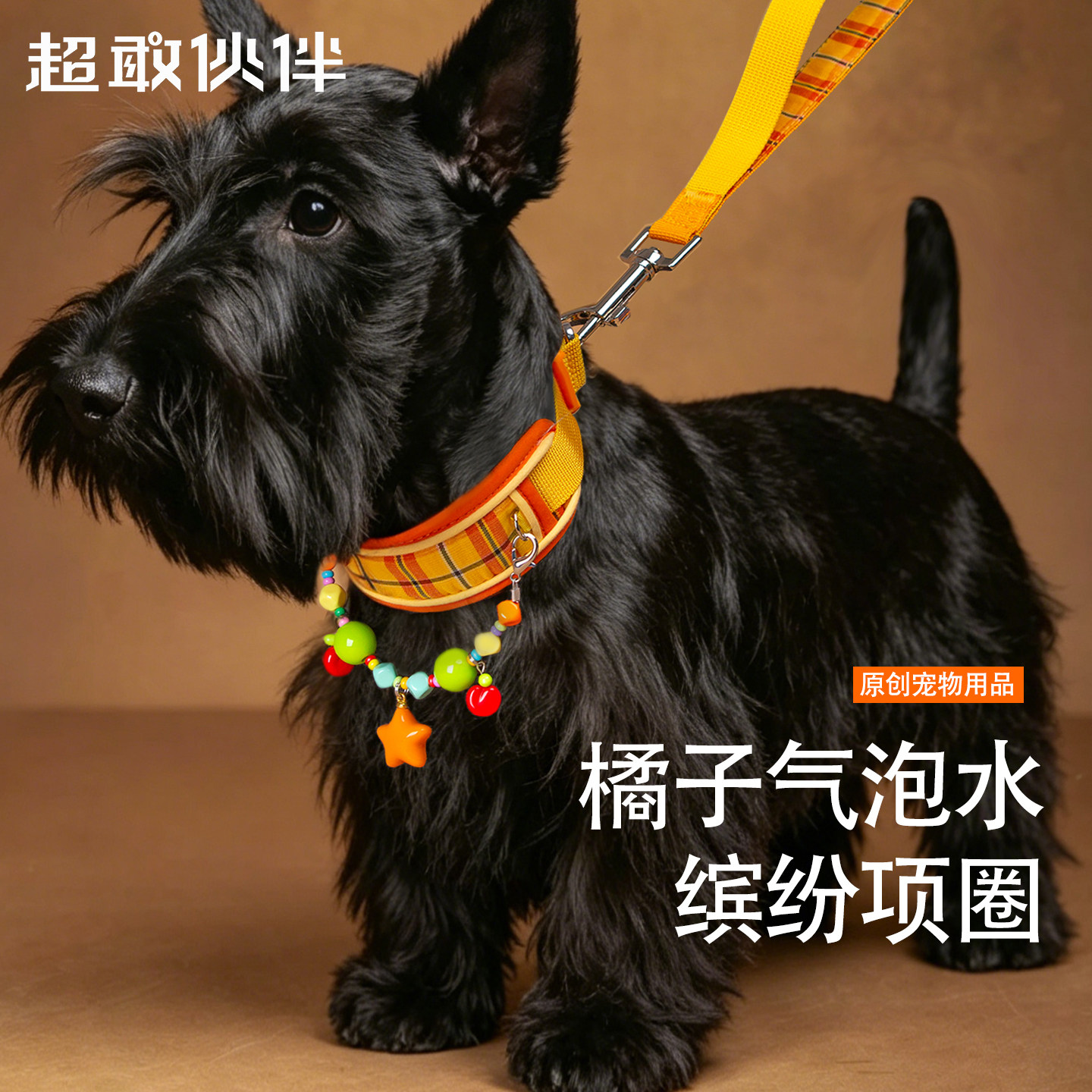 超敢伙伴橘子汽水宠物护颈柔软项圈牵引绳狗狗项链小中型犬套装